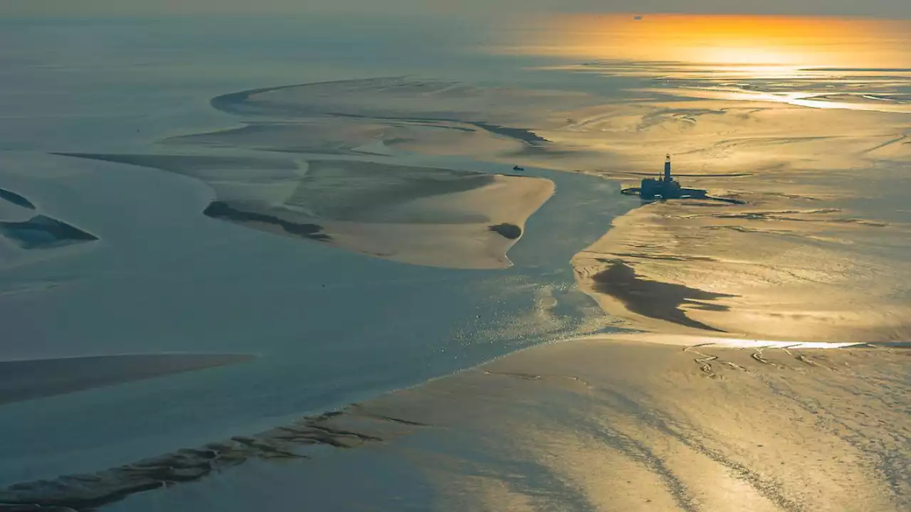 Firmen treiben Flachwasserbergbau im Meer voran