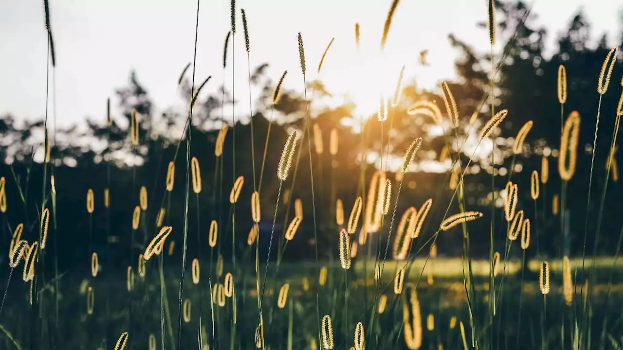 Sahara-Luft bringt im Osten bis zu 26 Grad