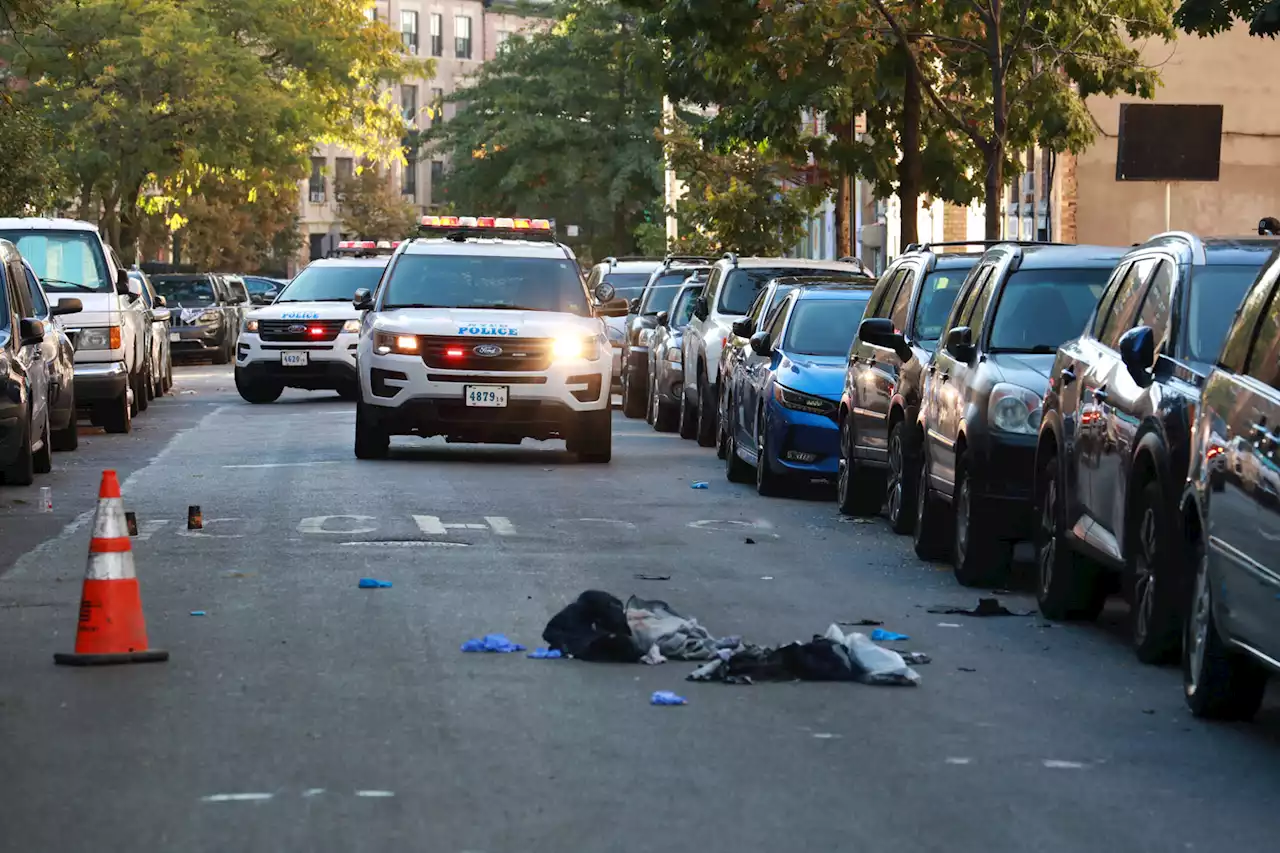 Bronx man killed after being shot, run over in heinous attack: cops