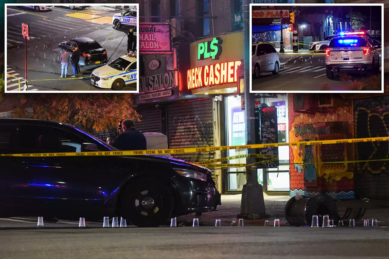 Police fatally shoot gun-toting parolee in NYC, officials say