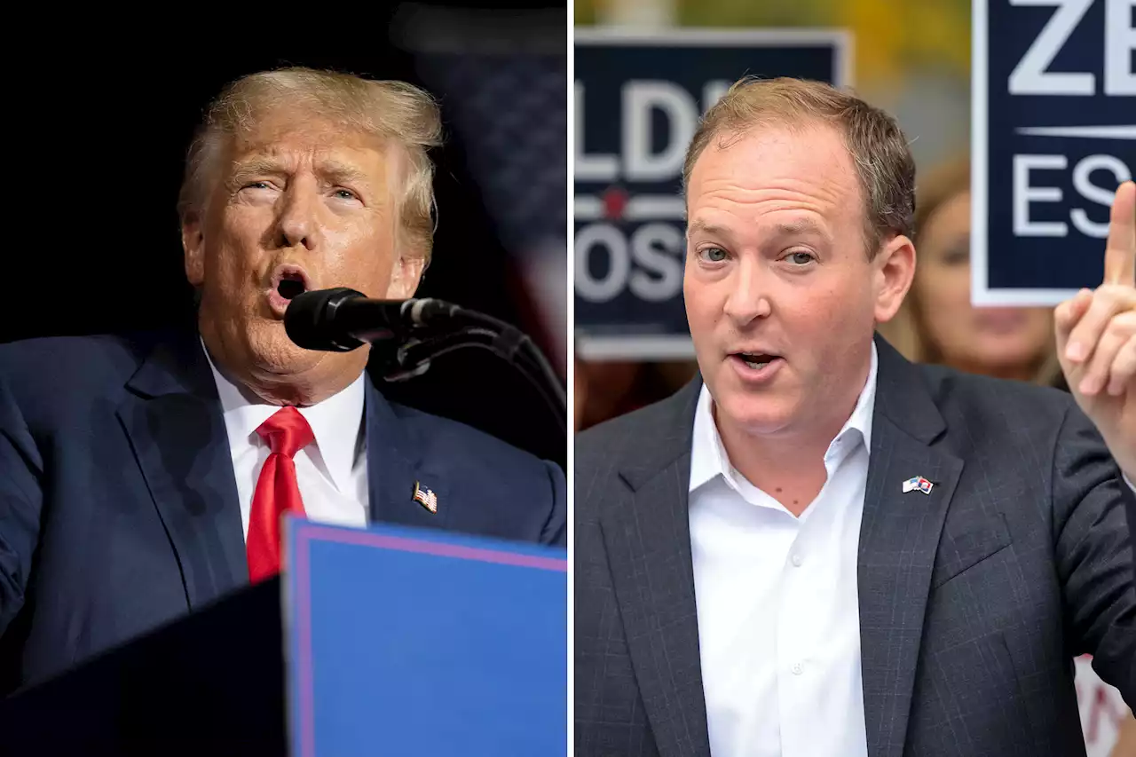 Trump endorses Lee Zeldin in NY governor race against Kathy Hochul