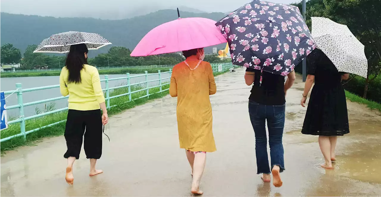 대구에서 가장 걷고 싶던 길, 맨발 입장입니다