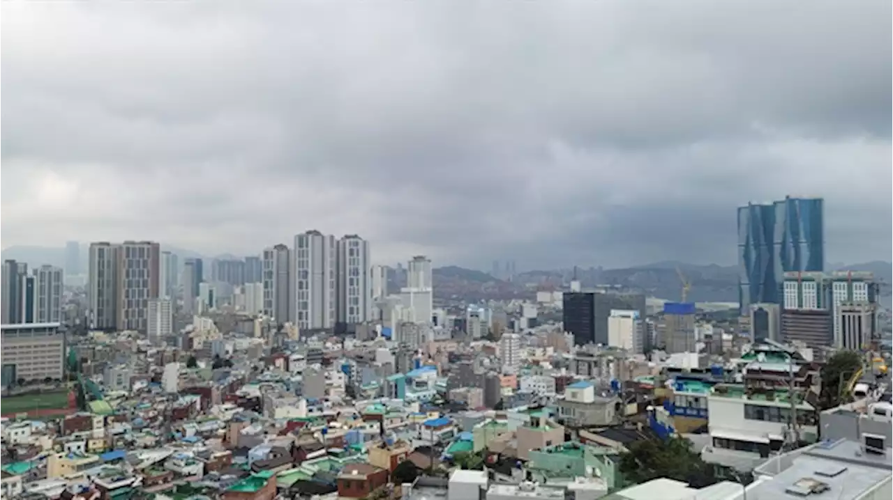 해운대 말고 망양로에 가면 볼 수 있는 것들