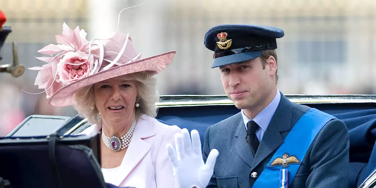 Prince William Makes It ‘Clear’ That Queen Camilla Is Not ‘Step-Grandmother to His Children’