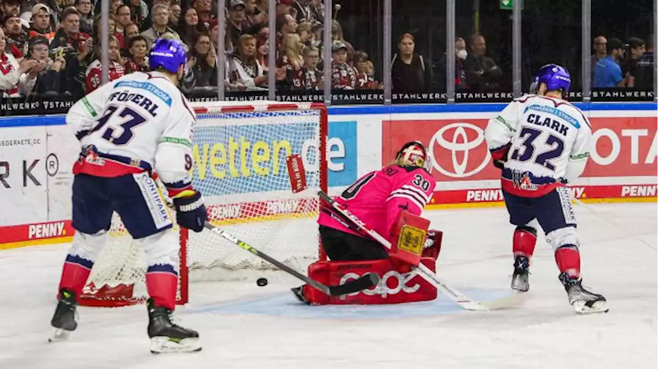 Effiziente Eisbären siegen deutlich in Köln