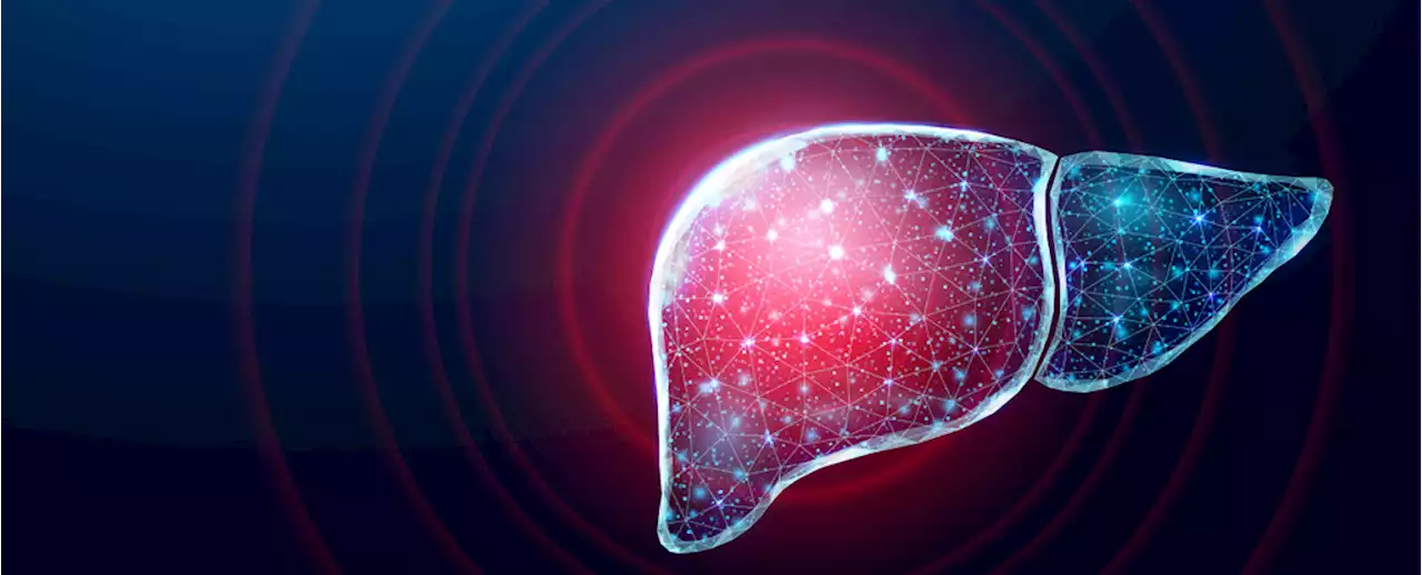 Mouse Study Reveals How to Help Speed Up The Liver's Self-Regeneration Process