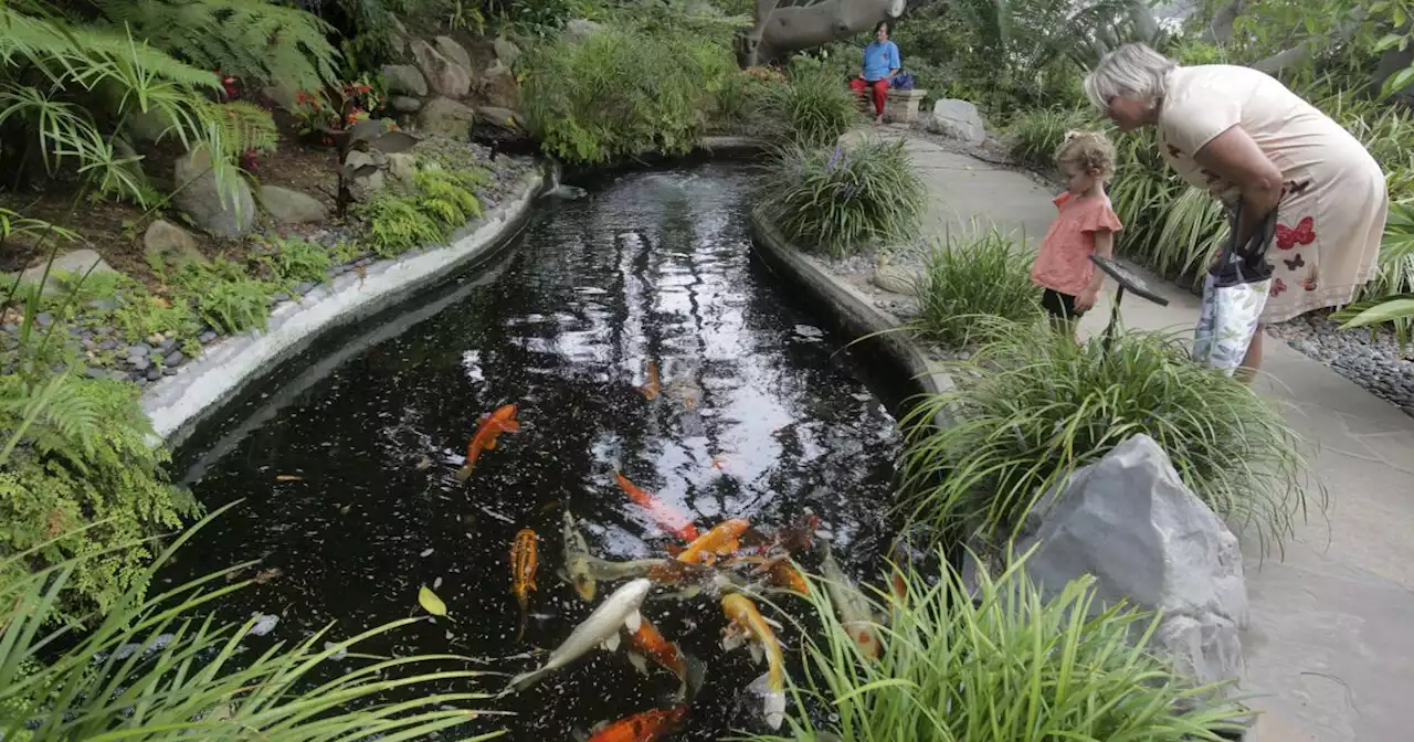 In Encinitas, nature's beauty feeds the soul at Self-Realization Fellowship Meditation Gardens