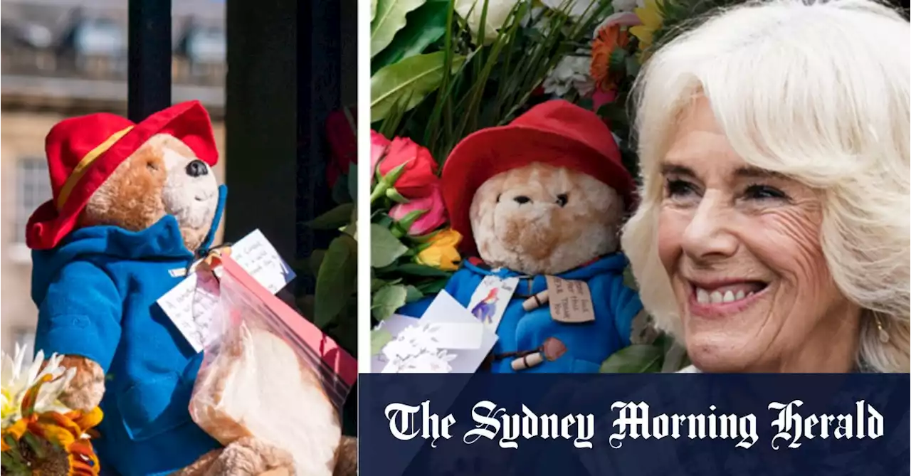Paddington Bears left in tribute to Queen find a home among disadvantage children