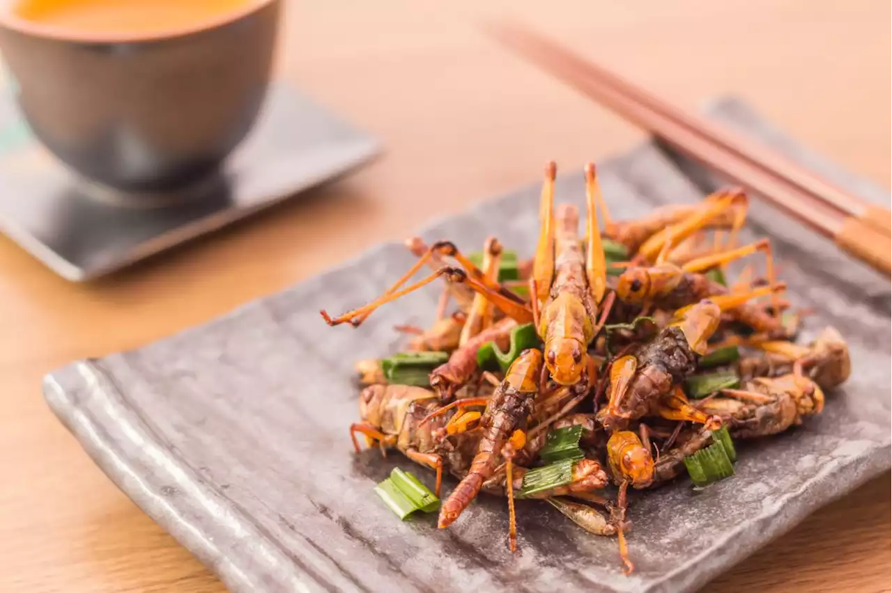 It's yummy time! ... Consumption of insects like crickets, beetles may soon be approved in Singapore