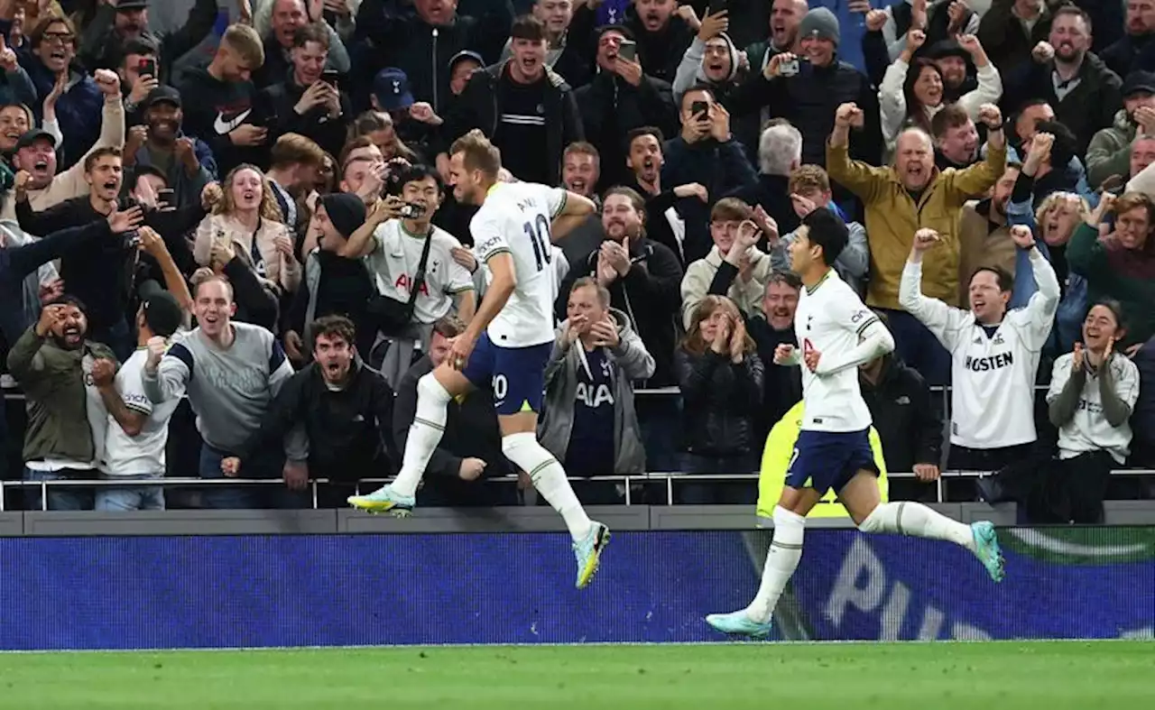 Soccer-Kane on target as high-flying Tottenham beat Everton 2-0