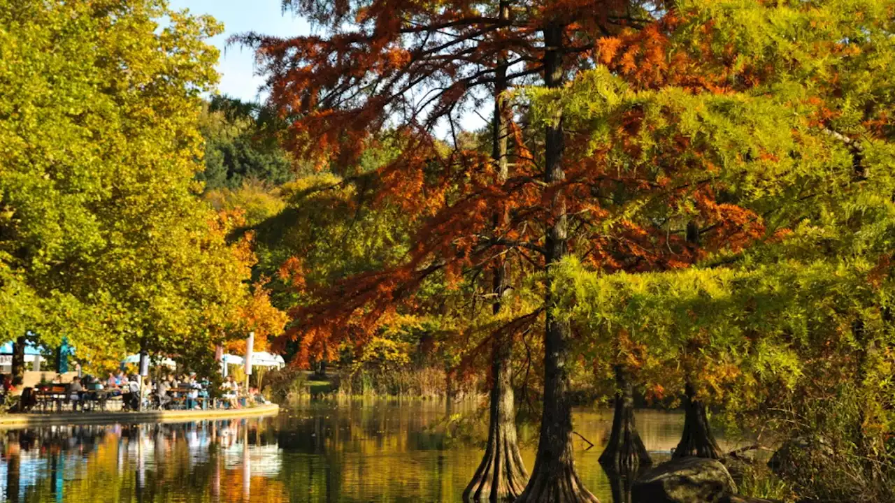 München: Sieben schöne Herbst-Spaziergänge