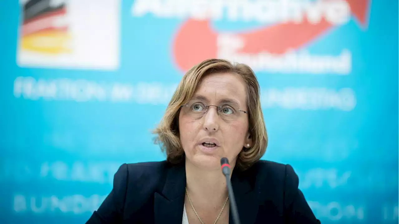 Parteitag der Berliner AfD: Abrechnung mit Beatrix von Storch fällt aus