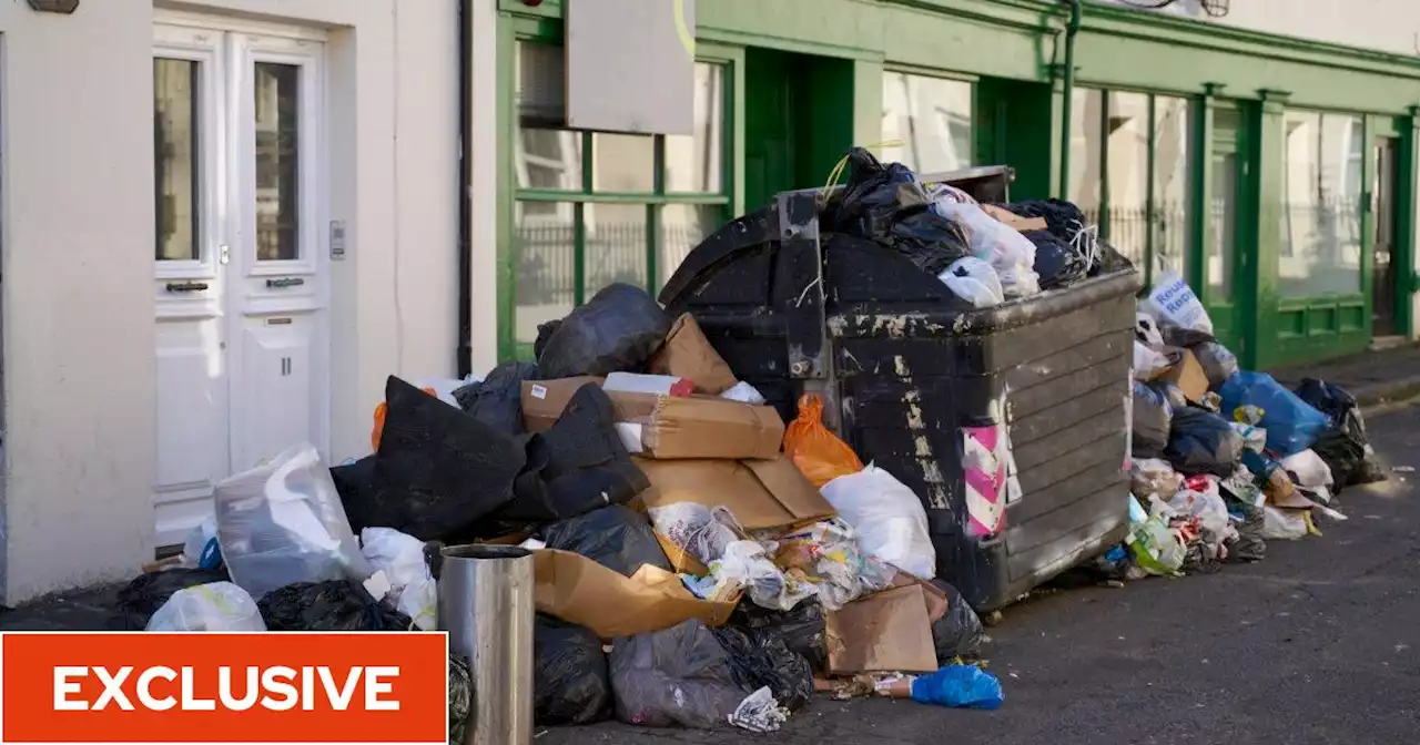 Liverpool's 'super bin' success could spell end of stinking rubbish and rats on our streets