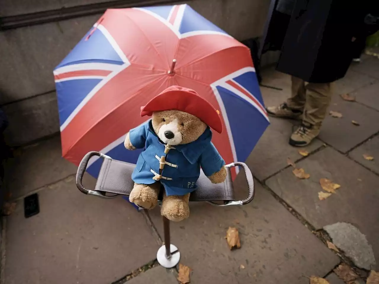 Hundreds of Paddington bears left for Queen to go to charity