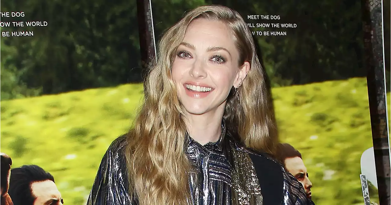 Musical Wonder! Amanda Seyfried and Thomas Sadoski’s Rare Family Photos