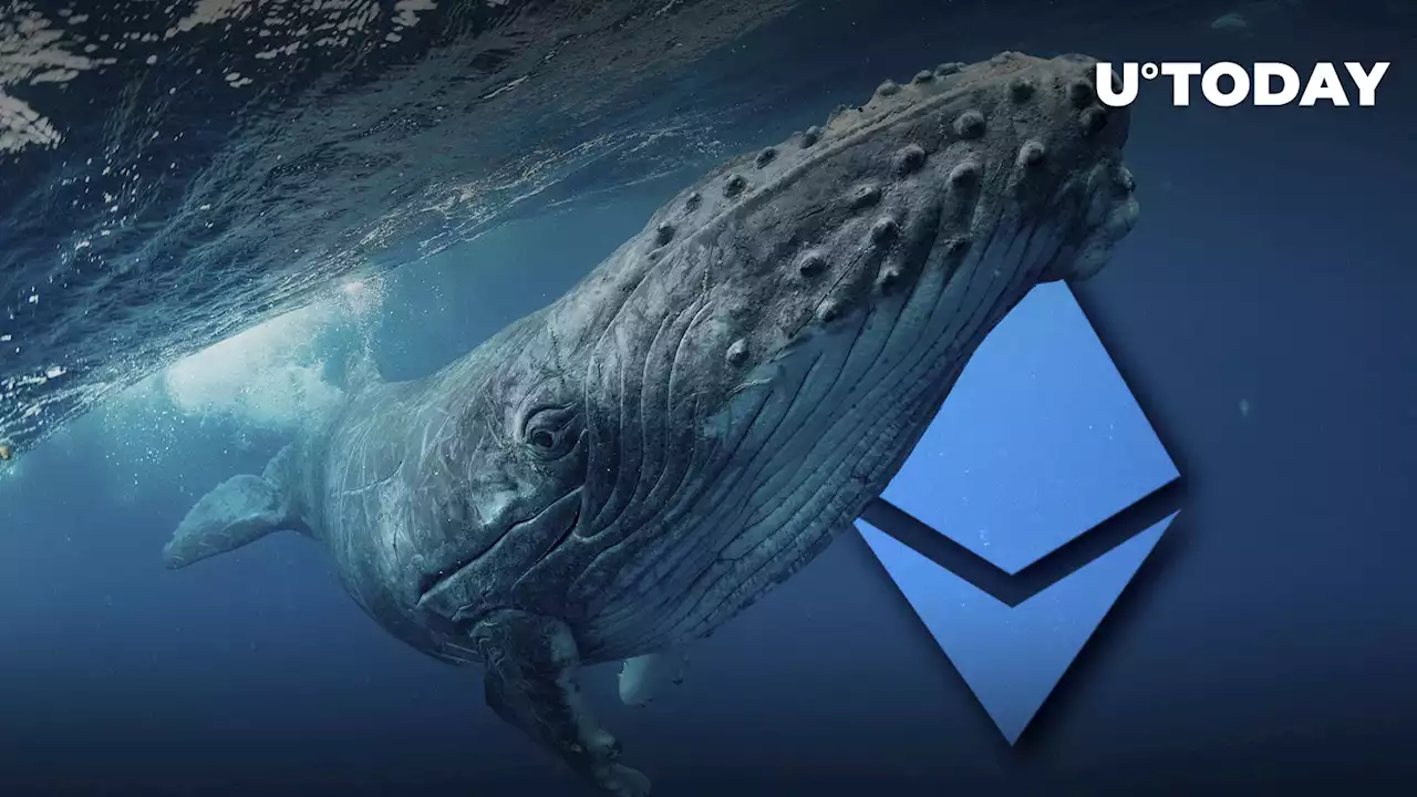 Ethereum Whales Selling Their Holdings, but You Should Not Worry