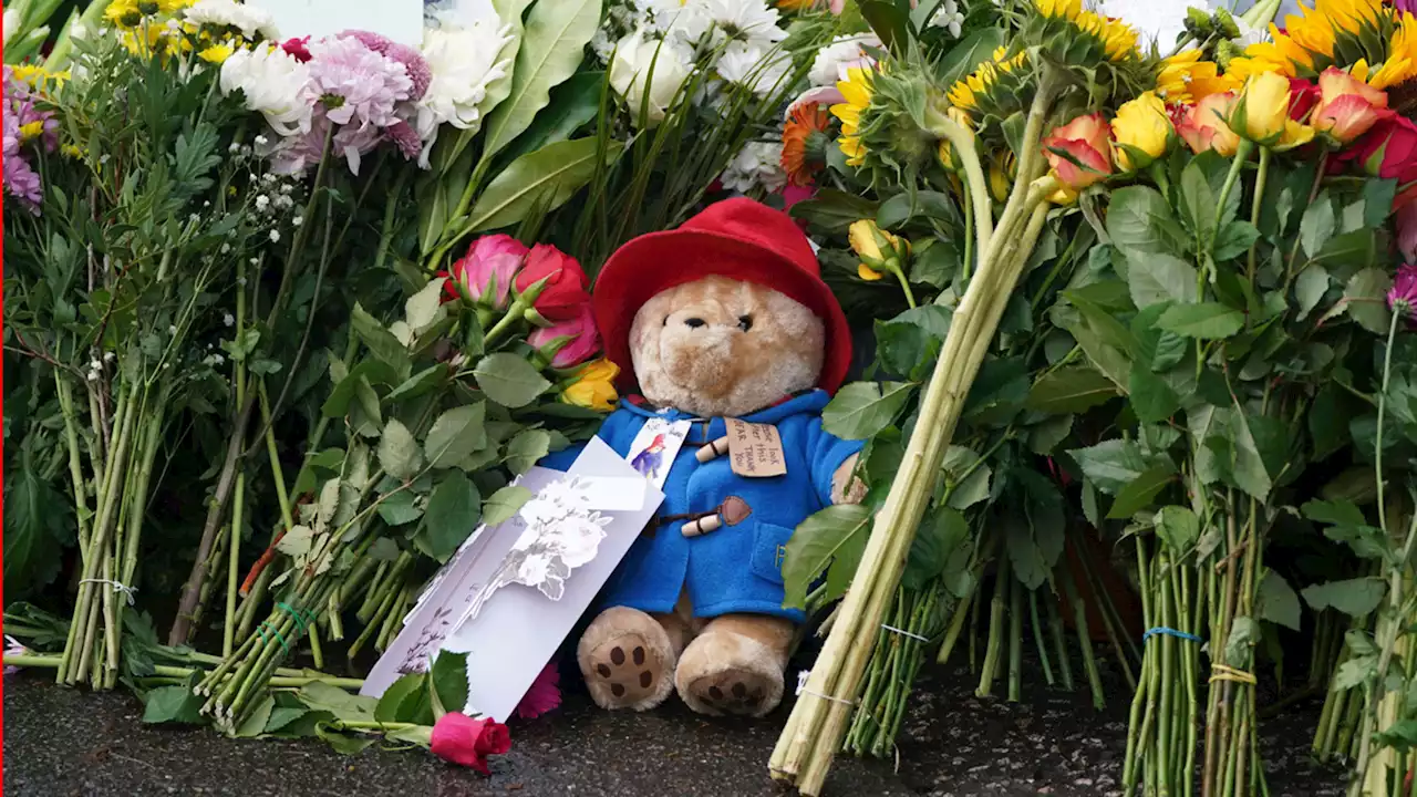 More than 1,000 teddy bears left in Queen Elizabeth tribute will be donated to children's charity