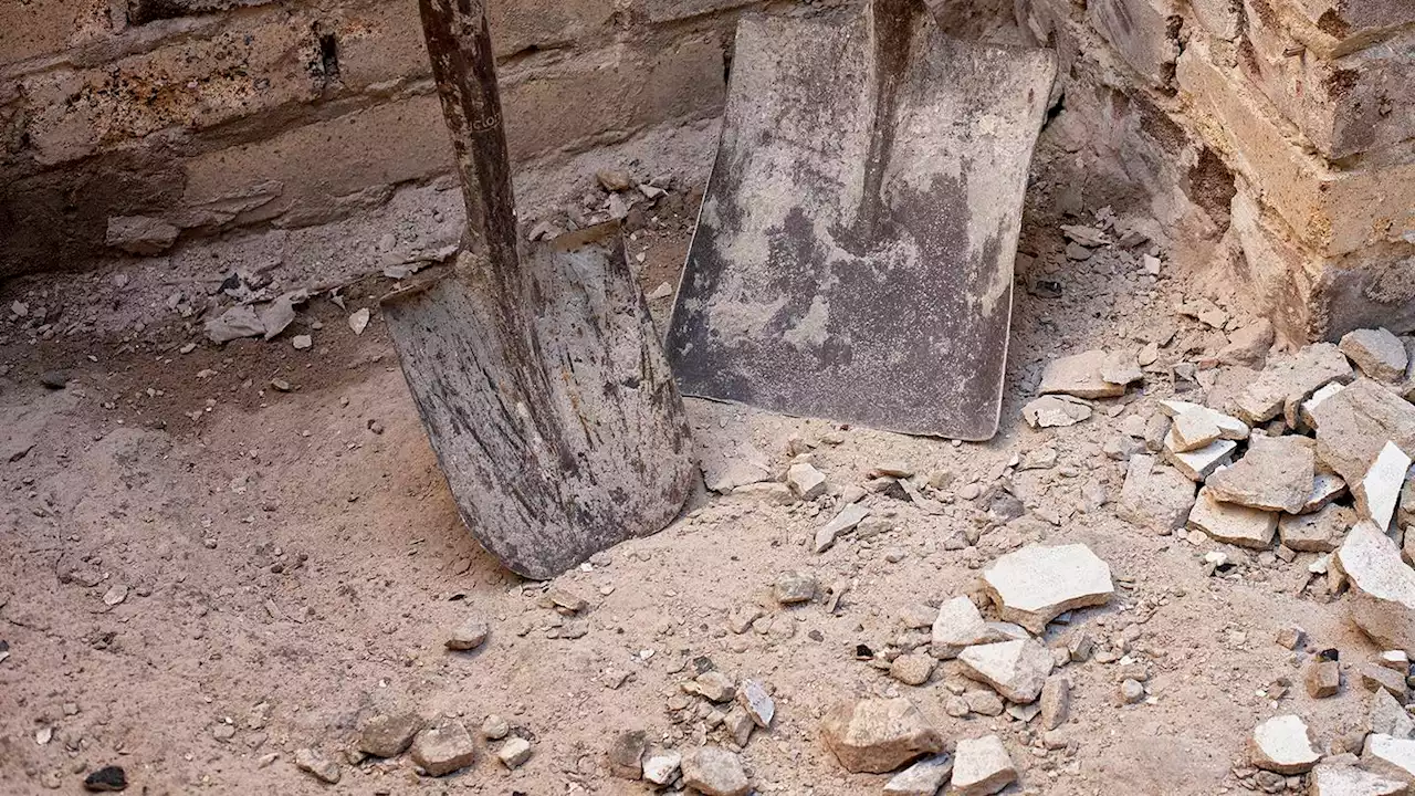 Couple finds over $850,000 worth of rare coins underneath floorboards