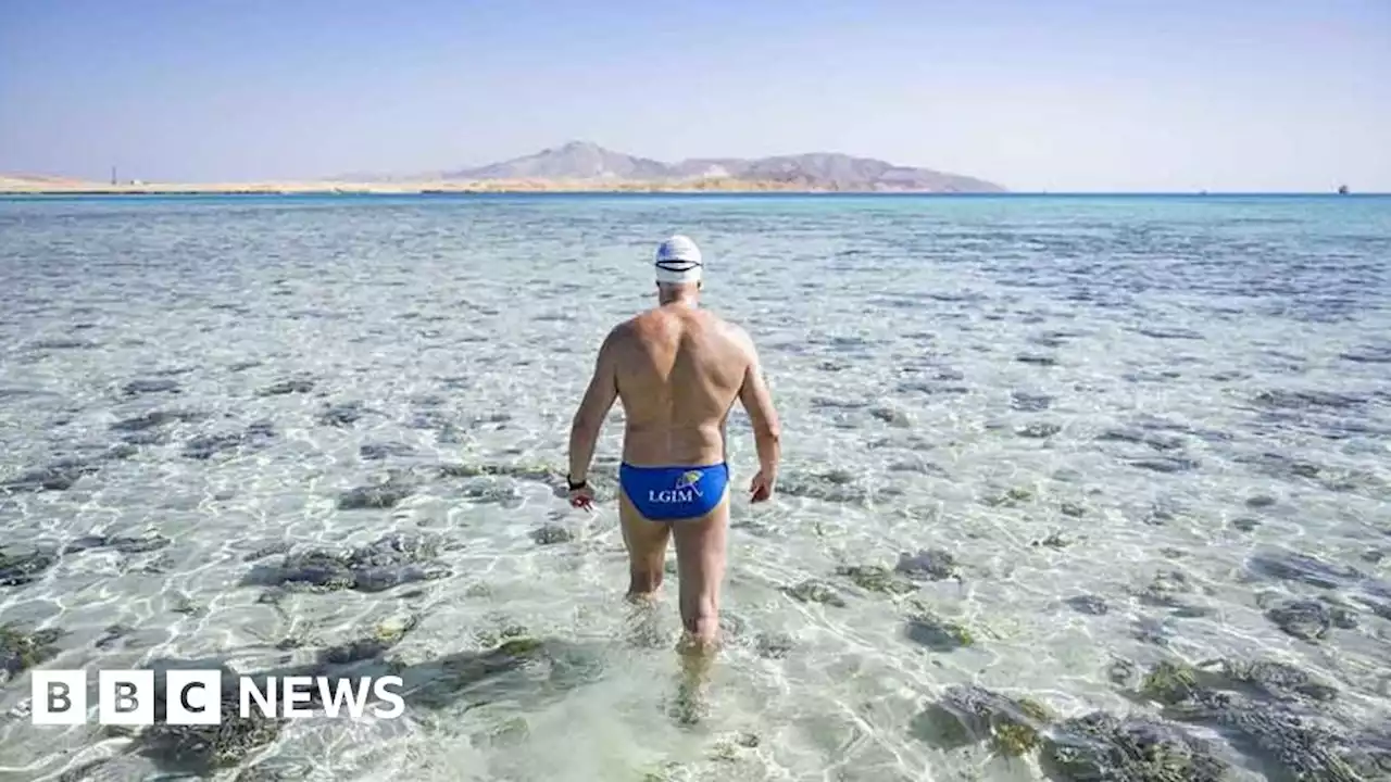 COP27: Swimmer attempts Red Sea crossing for climate change