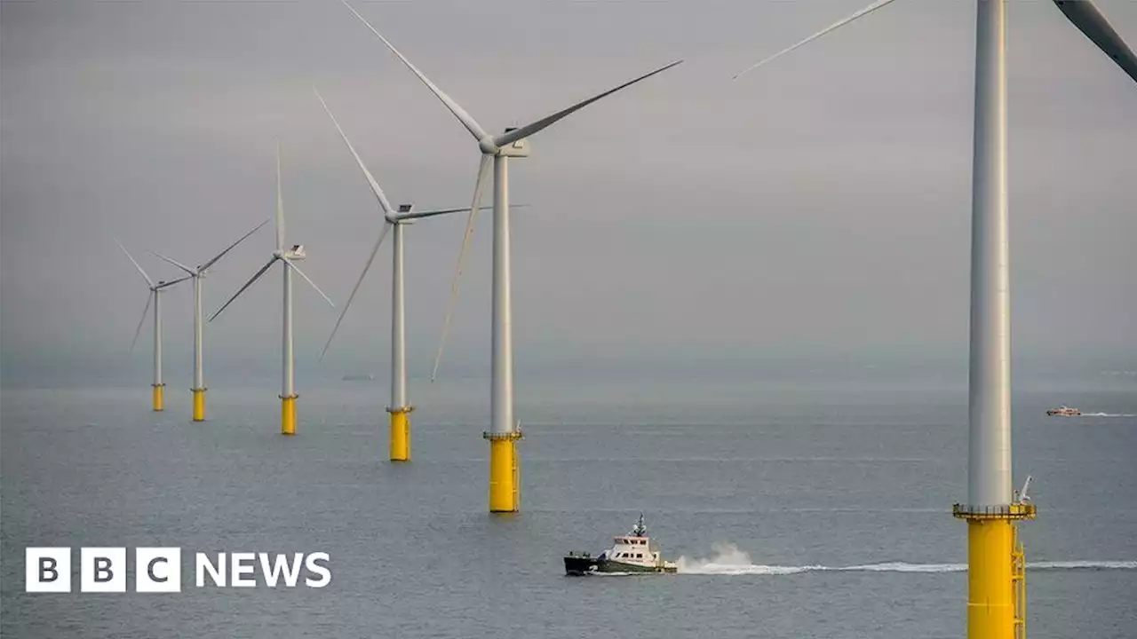 Rampion 2: Offshore windfarm extension area 'nearly halved'