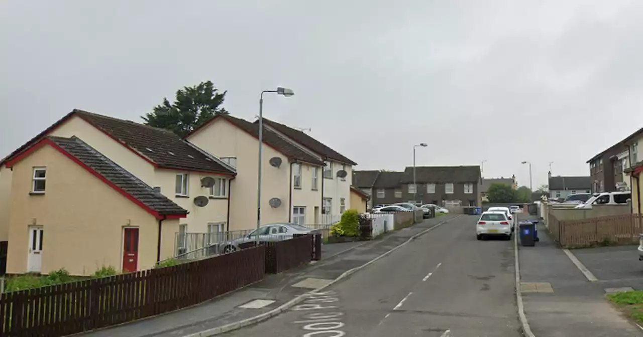 Murder investigation launched after man dies following 'machete attack'