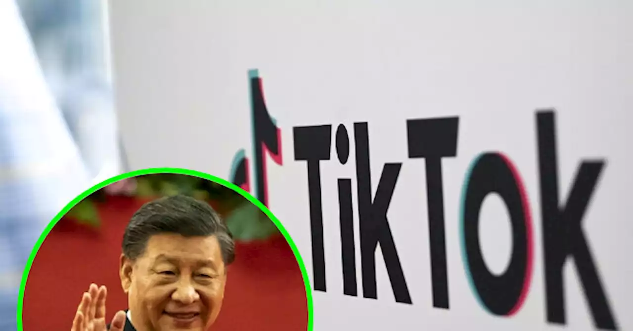 Consumer Reports: China's TikTok Tracks Users Even if They Don't Use the App