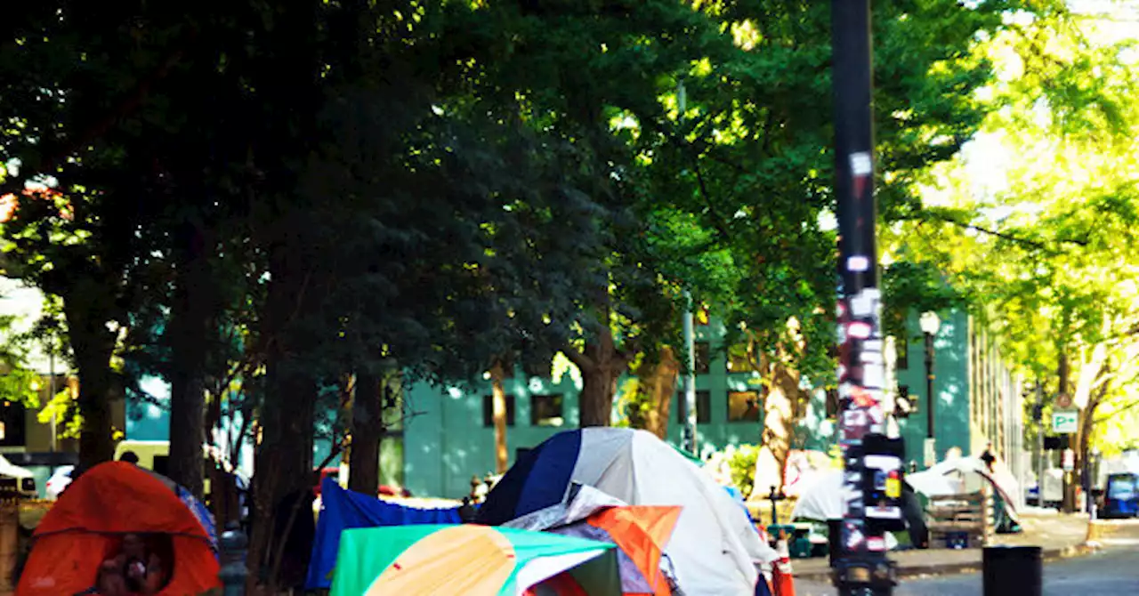 Report: Democrat Portland Mayor to Propose Plan to Build 3 Mega Homeless 'Campuses'