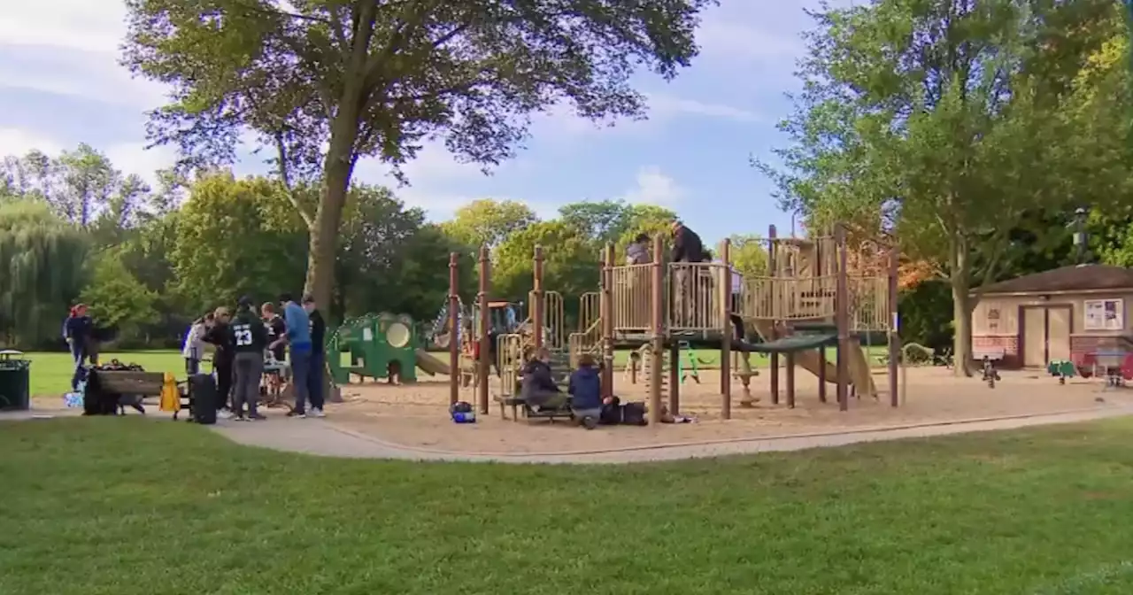 Eagle Scout leads effort to take down playground in Winnetka, and send it to Ghana