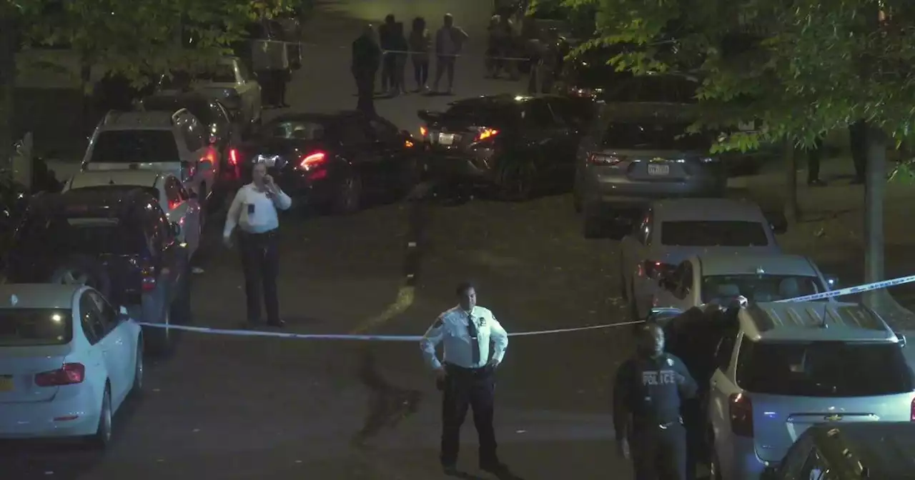 NYPD officer suffers leg injury after being struck by stolen car in the Bronx