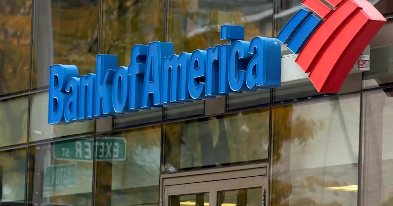 BofA profits fall as bank sets aside money for downturn