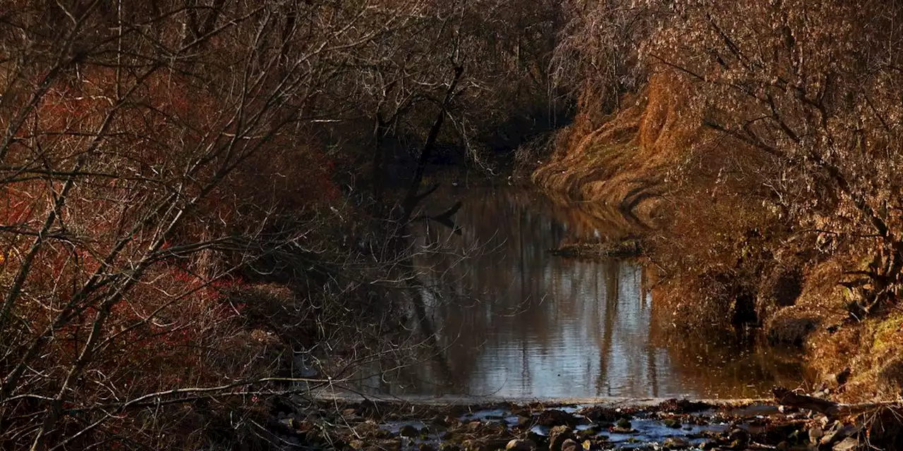 Radioactive waste found at Missouri elementary school