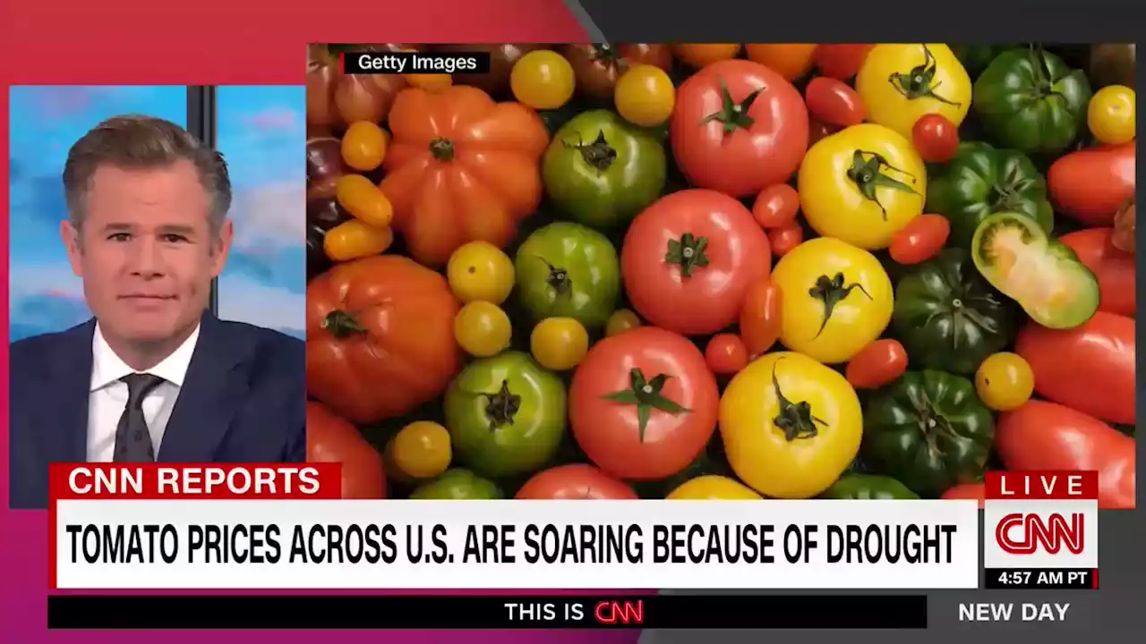 California's tomato farmers are getting squeezed by water crisis as growing costs continues to rise | CNN