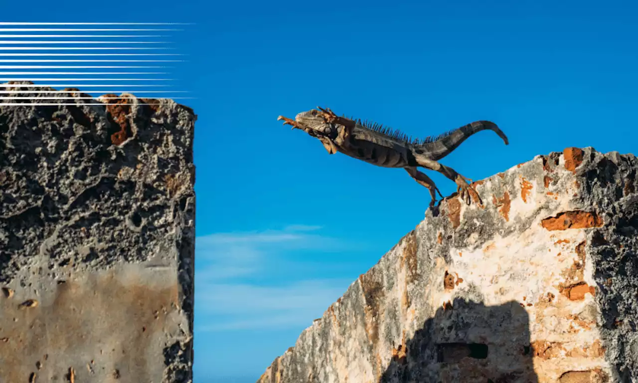 Quant: Before you top-up your QNT bags this week, read this