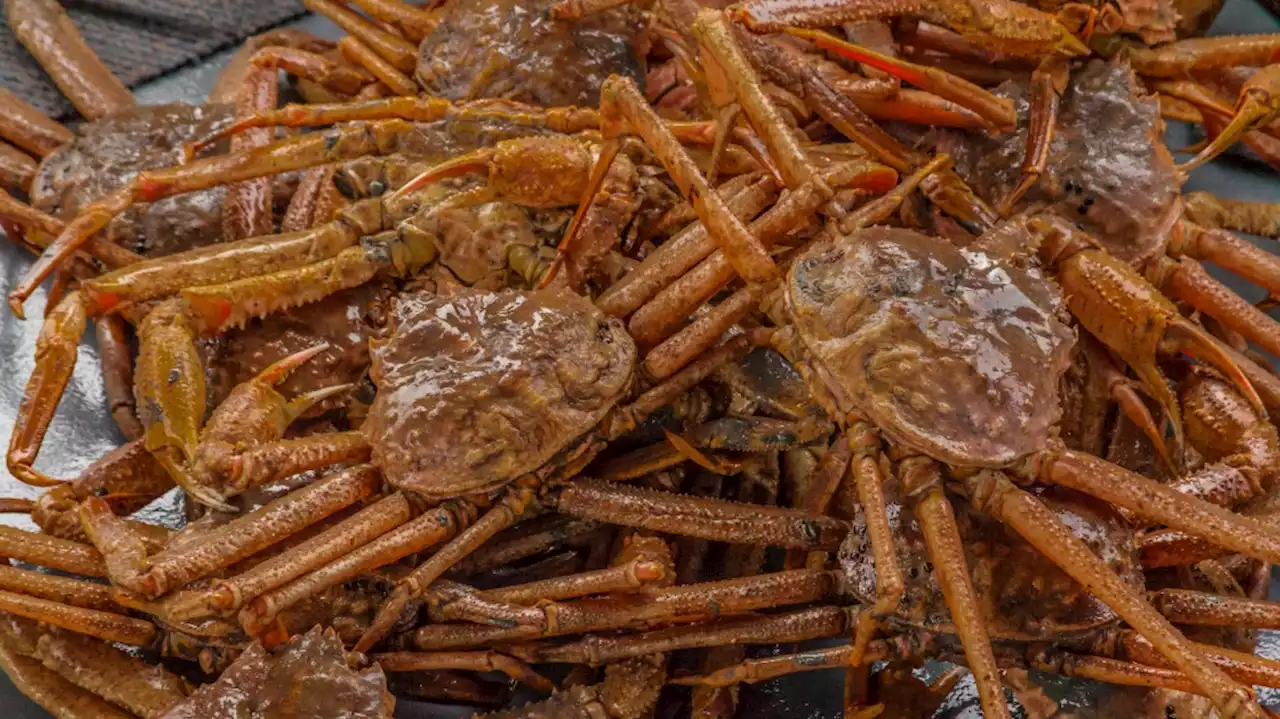 Billions of snow crabs have disappeared from the waters around Alaska. Scientists say overfishing is not the cause