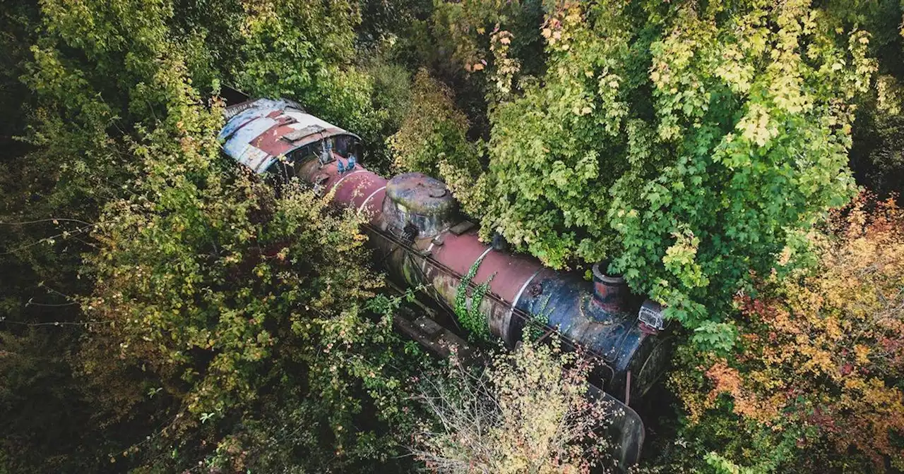 Man discovers abandoned 'Harry Potter style' 1950's steam train hidden in forest