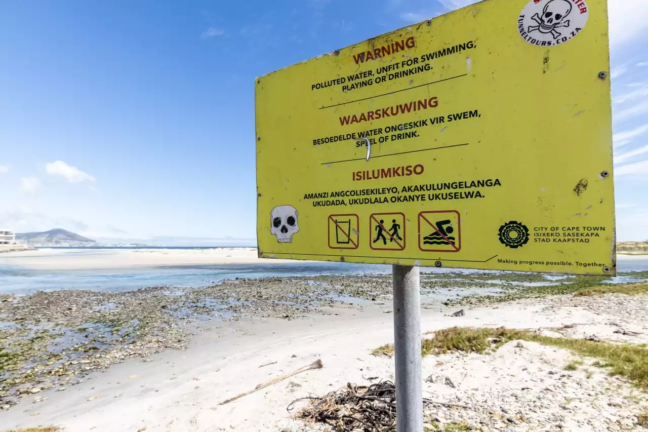 GROUNDUP WATER POLLUTION: Fish die-off reported in sewage-polluted Milnerton lagoon