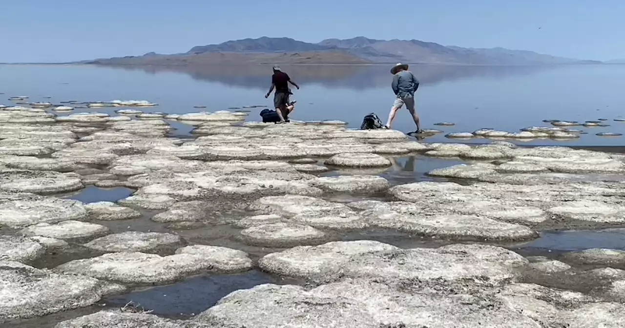 Local issues like Great Salt Lake erosion in Utah become potent campaign cudgels