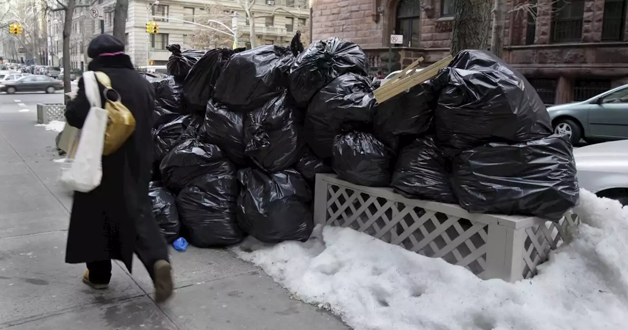 New York City hopes to starve rats with trash plan