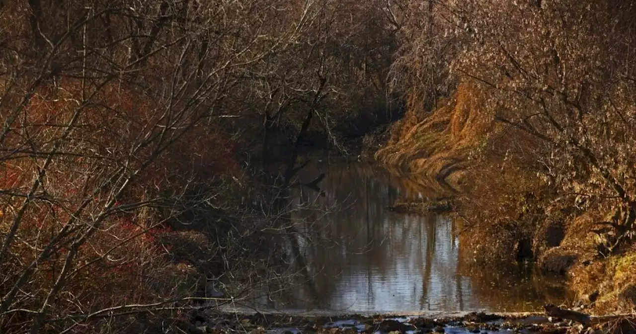 Radioactive waste found at Missouri elementary school