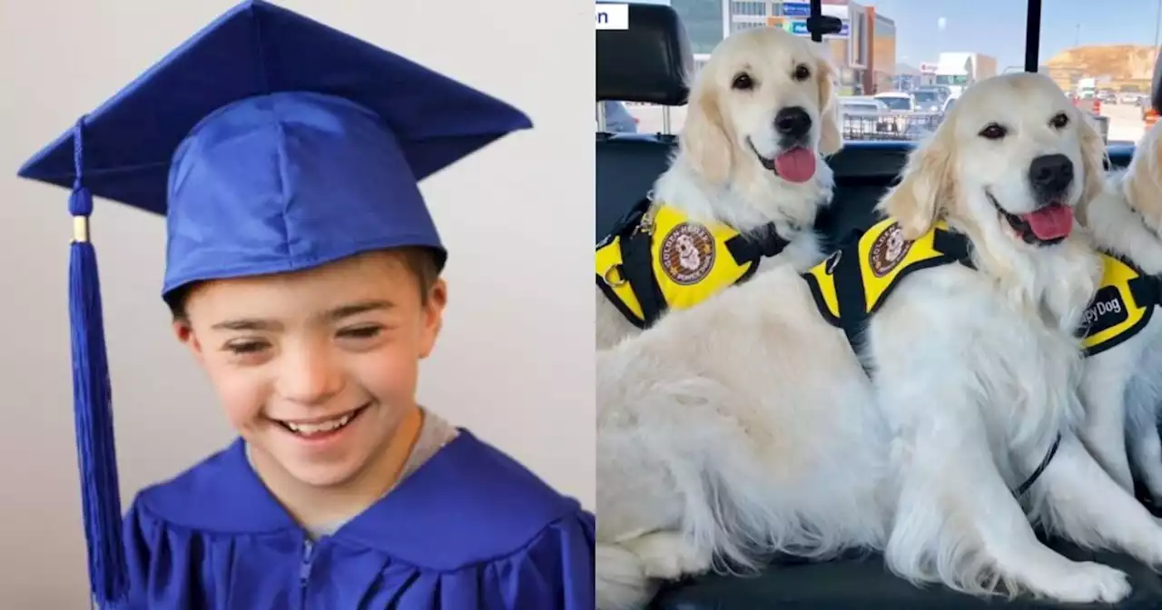 Centerville community helping family raise funds for boy's service dog