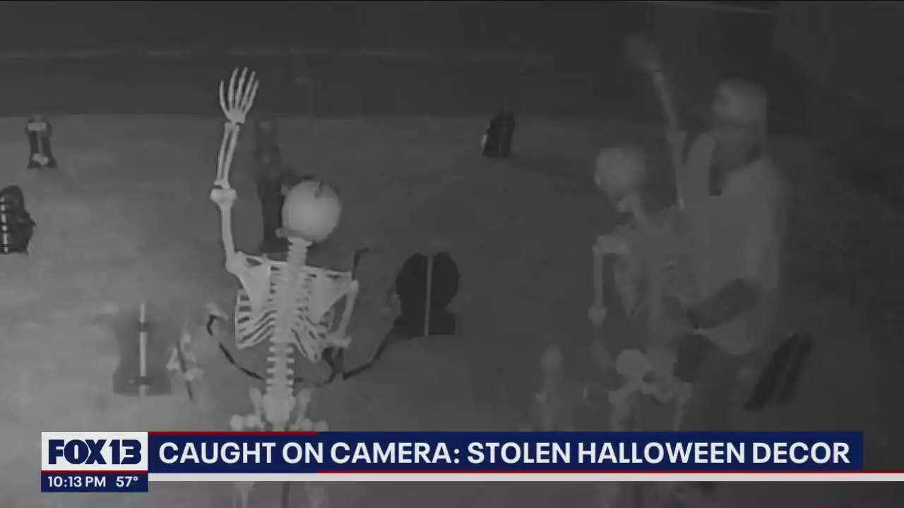 Caught on camera: Thieves steal Halloween decorations from Tacoma family