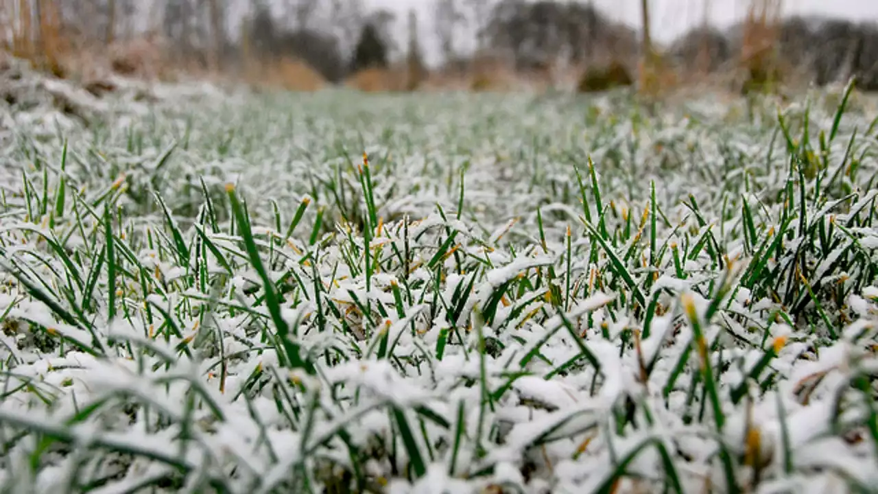 Chicago area sees first trace of snow for the season