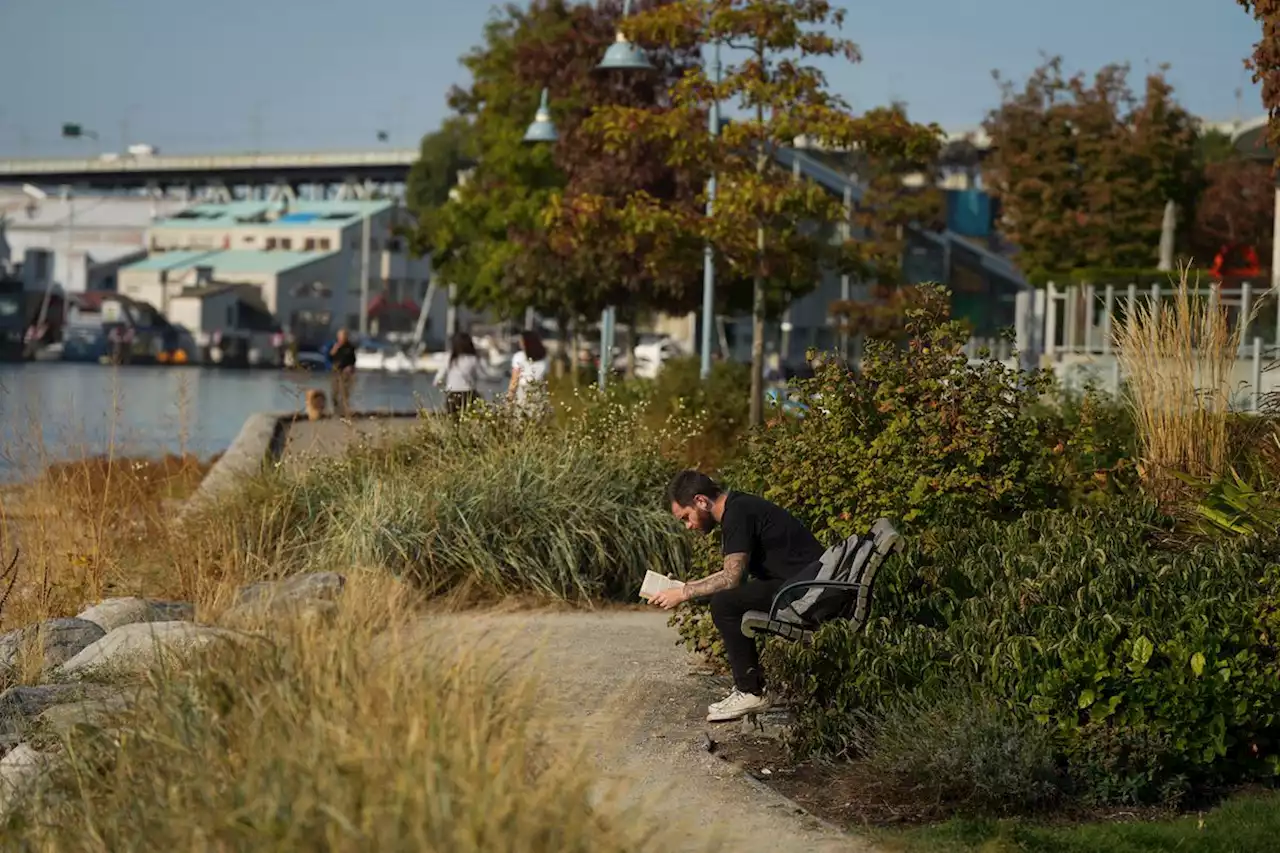 B.C.’s extended summer breaks more temperature records, but weather office calling for rain