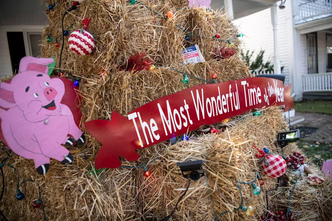 Mouthwatering Photos From Delaware's Fall Apple Scrapple Festival