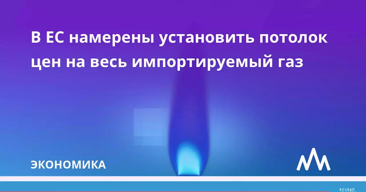 В ЕС намерены установить потолок цен на весь импортируемый газ