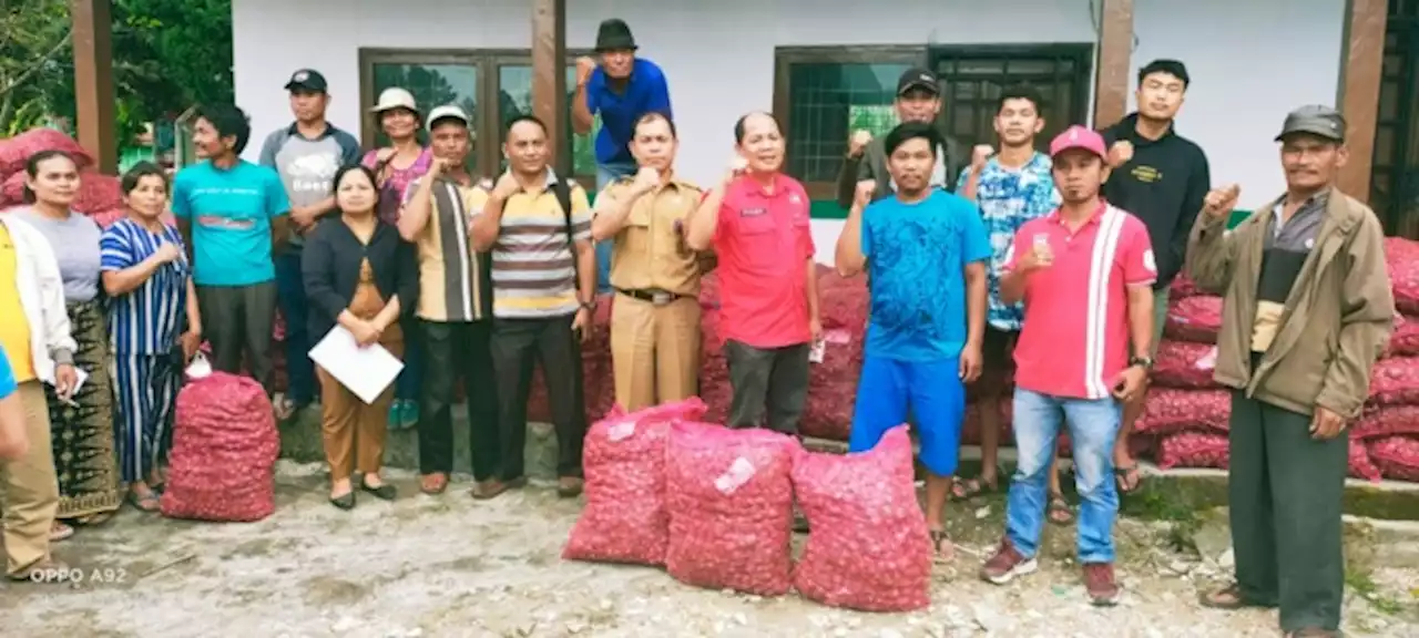 Junimart Girsang Giring Bantuan Benih Bawang Merah ke Dairi