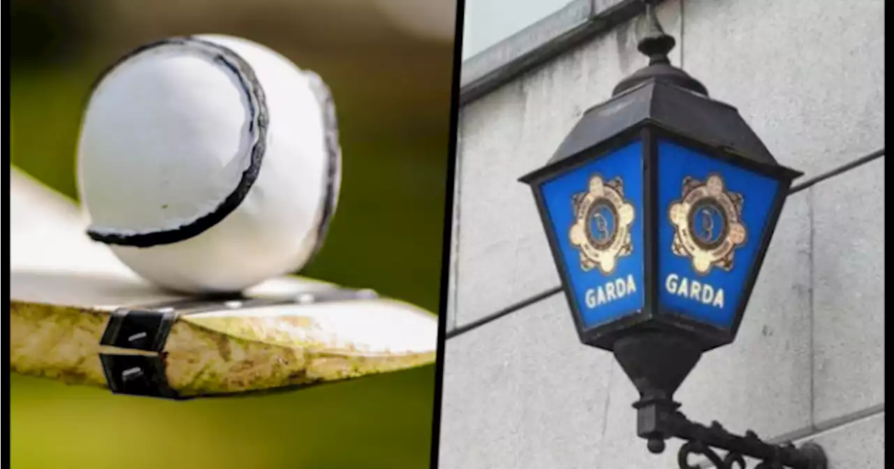 Gardaí investigating alleged assault on under-9 GAA player at children's sports event | JOE.ie