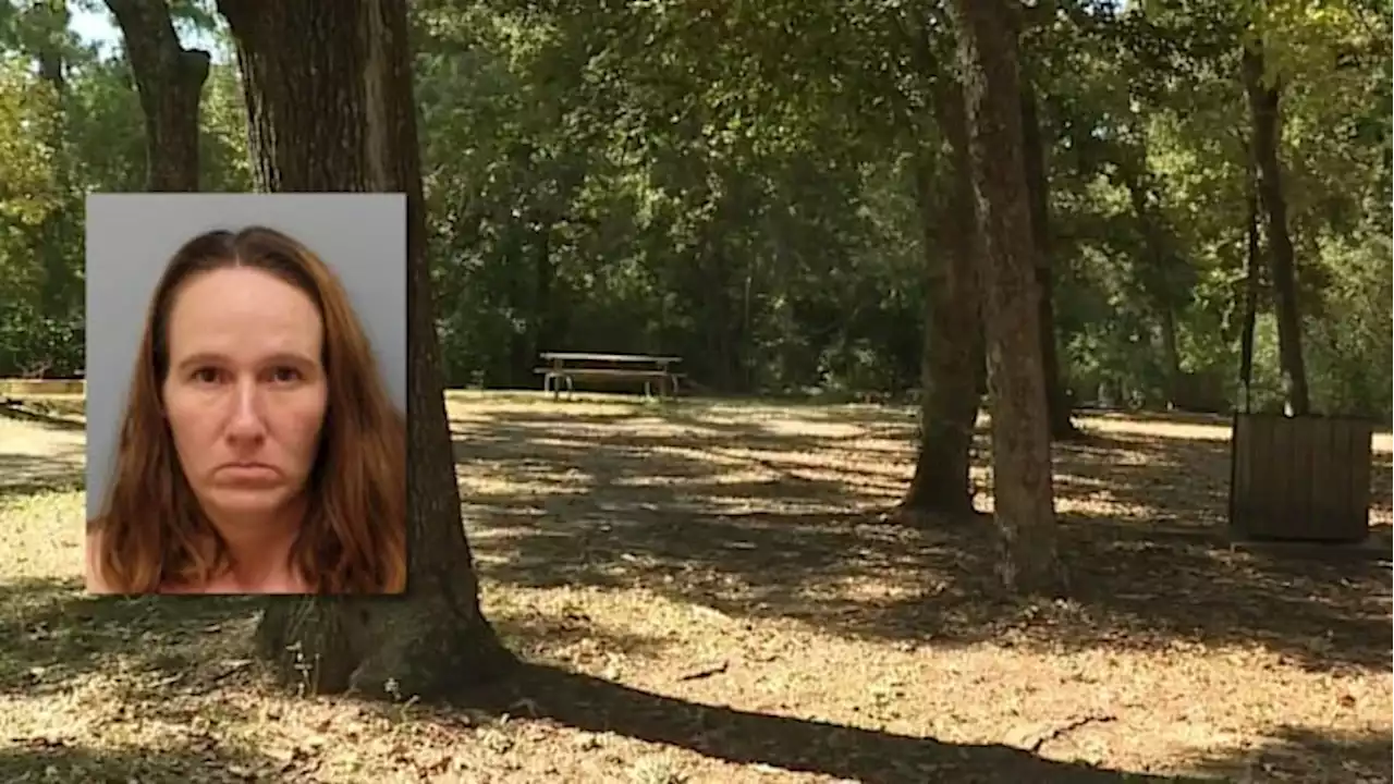 Texas woman charged after fatally stabbing child at park, Harris County sheriff says