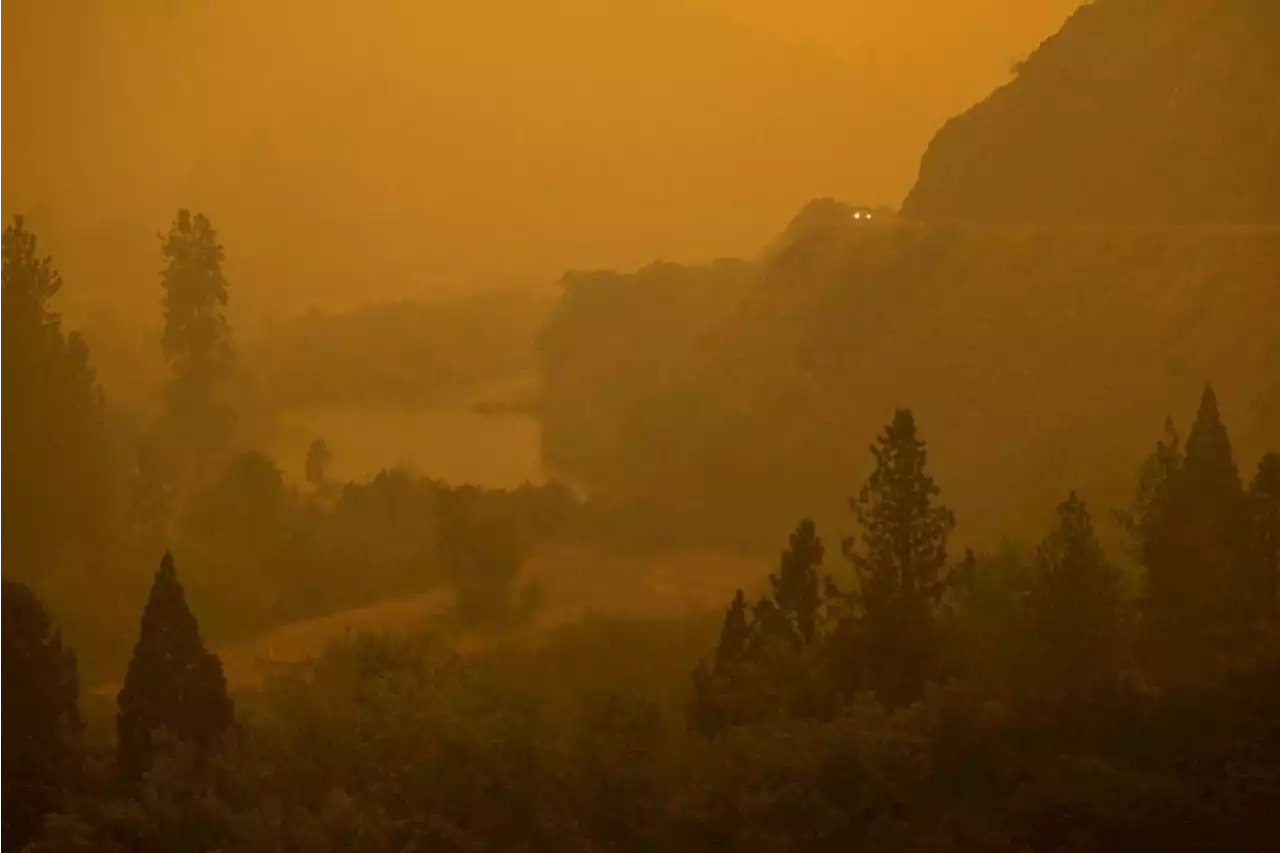 California fires in 2020 wiped out years of fighting air pollution