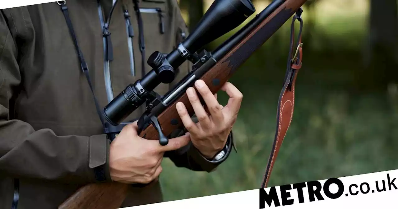 British woman shot dead on boar hunt ‘by man holding rifle backwards’